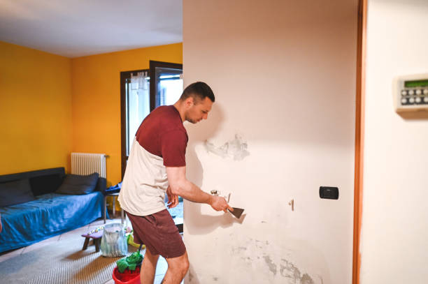 Best Same-Day Mold Removal  in Buffalo, SC